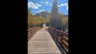 ~ My Path To Enlightenment ~