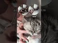Я НЕ ОЖИДАЛА ТАКОГО😻