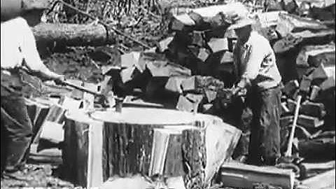 Lumber From Forest To Mill (1926)