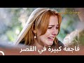 قتلوا حصان هرم | يوميات القصر