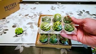 Phyther Cactus Tealight Candles