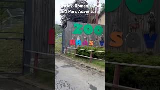 Come with us to Brasov, Romania! 🇷🇴 let’s visit the zoo and Parc Adventura