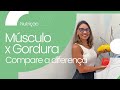 Leve Vida - Músculo X Gordura