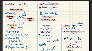 Study with me l speed up l share screen screenshot 5