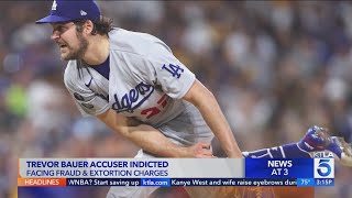 Legal lessons of the Trevor Bauer case