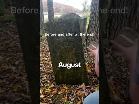 It Was A Good 2025 Gravegeeks