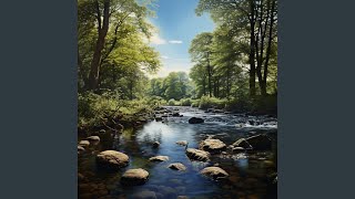 Tranquil Waters for Tail Wags