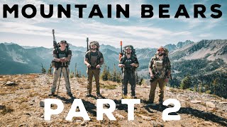 Washington Mountain Bears - Part 2