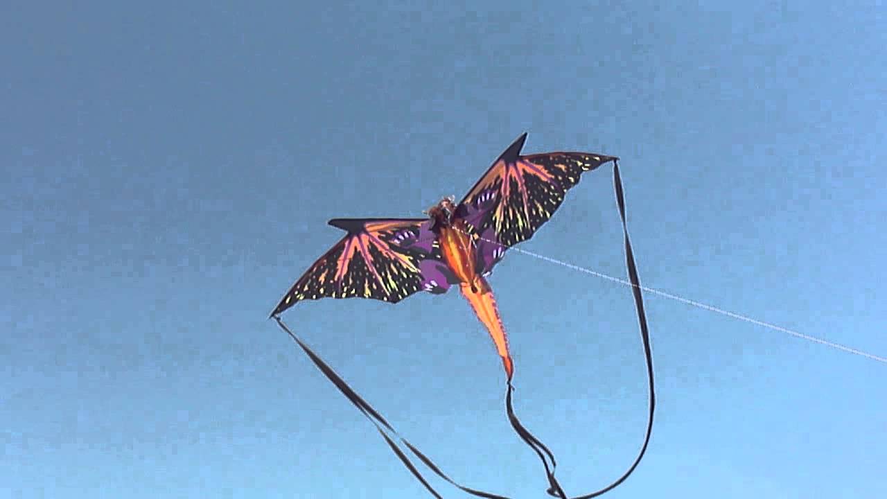 Giant 64 in. Dragon Kite