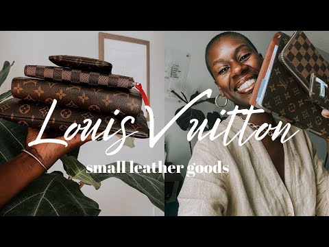 The Best Louis Vuitton Small Leather