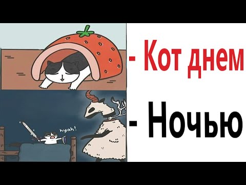 Доми шоу: МОЙ КОТ ПРОТИВ ДЕМОНОВ! Самые смешные истории! Мемы анимация!