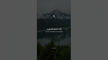 وَنَادَىٰ نُوحٞ رَّبَّه فَقَالَ رَبِّ إِنَّ ٱبۡنِي مِنۡ أَهۡلِي || تلاوة خاشعة اسلام صبحي .