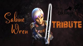 A Tribute to Sabine Wren