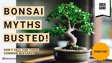 “Bonsai Myths Busted! Don’t Fall for These Common Mistakes”