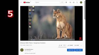 NostalgiaWindows Top10 Highlights 08/28/2021 - 500 subs special
Thanks to all subs. The full version video links as below:
00:00 1. The song in Windows 95 (OSR1/2) CD - Good Times - Edie Brickell https://youtu.be/okt9GcWiWmE
00:49 2. Beautiful Way - Windows Me media player skins https://youtu.be/5ASNt1ja68U
01:25 3. Windows 98 SE Theme - Under Water https://youtu.be/kJLcgh5udO4
01:59 4. Windows 98 SE Theme - Jungle https://youtu.be/EvRwG0bHG3o
02:48 5. Windows 98SE Theme - Dangerous Creatures https://youtu.be/4AWJSm69DLY
03:18 6. Windows98 theme - Mystery https://youtu.be/1g0SelN77nw
03:46 7. Windows 98 SE Theme - Baseball https://youtu.be/rj-qacbp24c
04:24 8. Windows 98 SE Theme - Space https://youtu.be/we-PpuMGsYg
05:21 9. Windows XP Plus Theme - Aquarium https://youtu.be/_nPBmiLuuMw
06:15 10. Windows 98 Plus Theme - Garfield https://youtu.be/oJuTOnbjWV4 NostalgiaWindows Top10 Highlights 08/28/2021 - 500 subs special