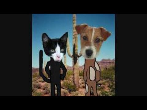 DOG AND CAT SING 10 HOURS - YouTube