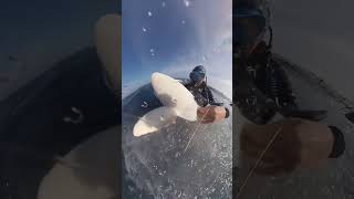 Divers Were Probably Thinking Wtf Is This Girl Doing With A Shark Plushie