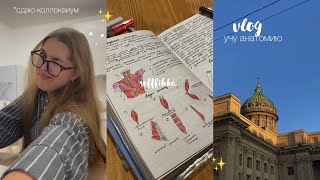 vlog: будни студента | учу анатомию, готовлюсь к коллоквиуму