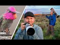 Set ups for any location  hummingbirds everyday bird photography hacks