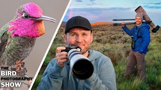 Set Ups For ANY Location + Hummingbirds: Everyday Bird Photography Hacks! by Jan Wegener 8,159 views 2 days ago 31 minutes