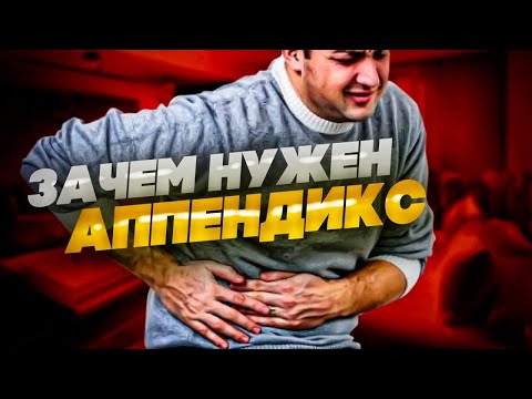 Зачем людям аппендикс | Действительно ли нам нужен аппендикс?