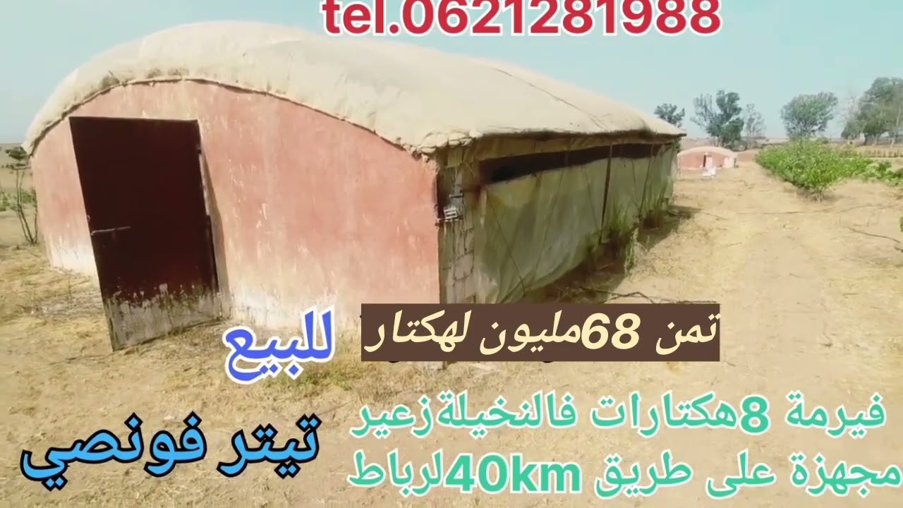 فيرمة 8هكتارات ونصف فالنخيلة على طريق☎️0621281988