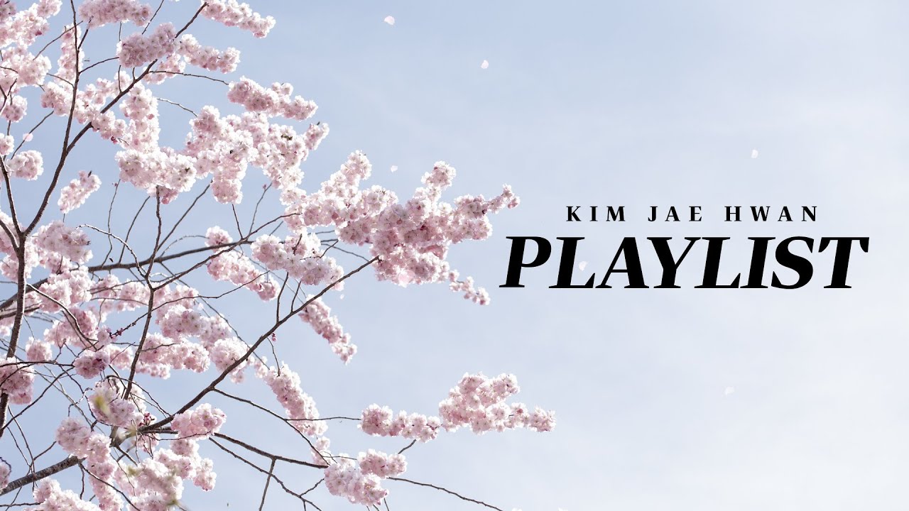 따뜻한 봄 햇살, 흩날리는 꽃잎 그리고 너ㅣ 𝐊𝐈𝐌 𝐉𝐀𝐄 𝐇𝐖𝐀𝐍 𝐏𝐋𝐀𝐘𝐋𝐈𝐒𝐓