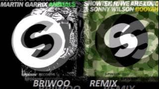 Martin Garrix vs Showtek Animals Booyah (Briwoo Remix)