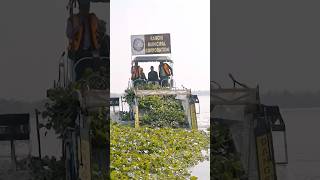 Indian man creating biofuel from algae #youtube #shorts