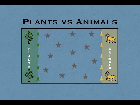 Plants Vs Animals - Physical Education Game