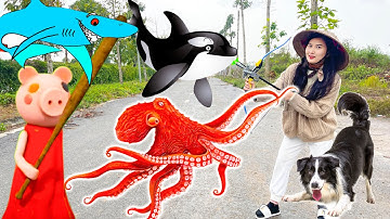 Changcady gặp máy bay thả các con vật: cá mập , con lợn màu hồng, cá voi, bạch tuộc - Part 186