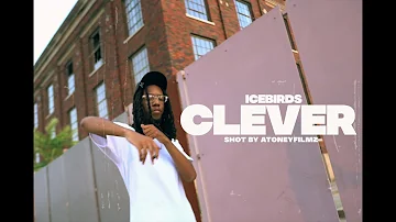 IceBirds - Clever (shot by AToneyFilmz)