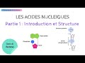 Acides nucleiques  introduction et structure  biochimie facile