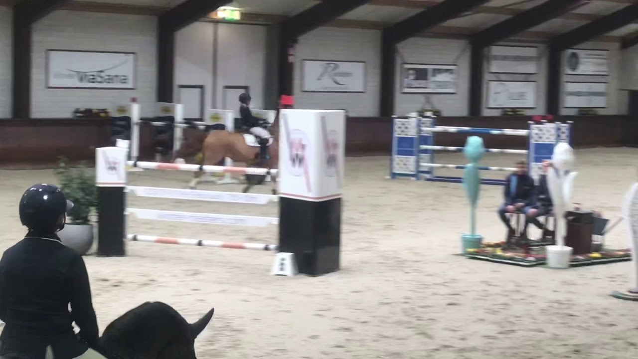 Easy Boy - GP 145 CSI** Kronenberg