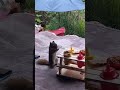 #cute #creatorsjourney #memoriesmade #picnic #squirrel #squirrelvideos #whoshrunkmytable #novascotia