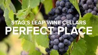 Stag's Leap Wine Cellars - Why Napa Valley is the Perfect Place for Age Worthy Wines by stagsleapwinecellars 136 views 1 year ago 1 minute, 58 seconds