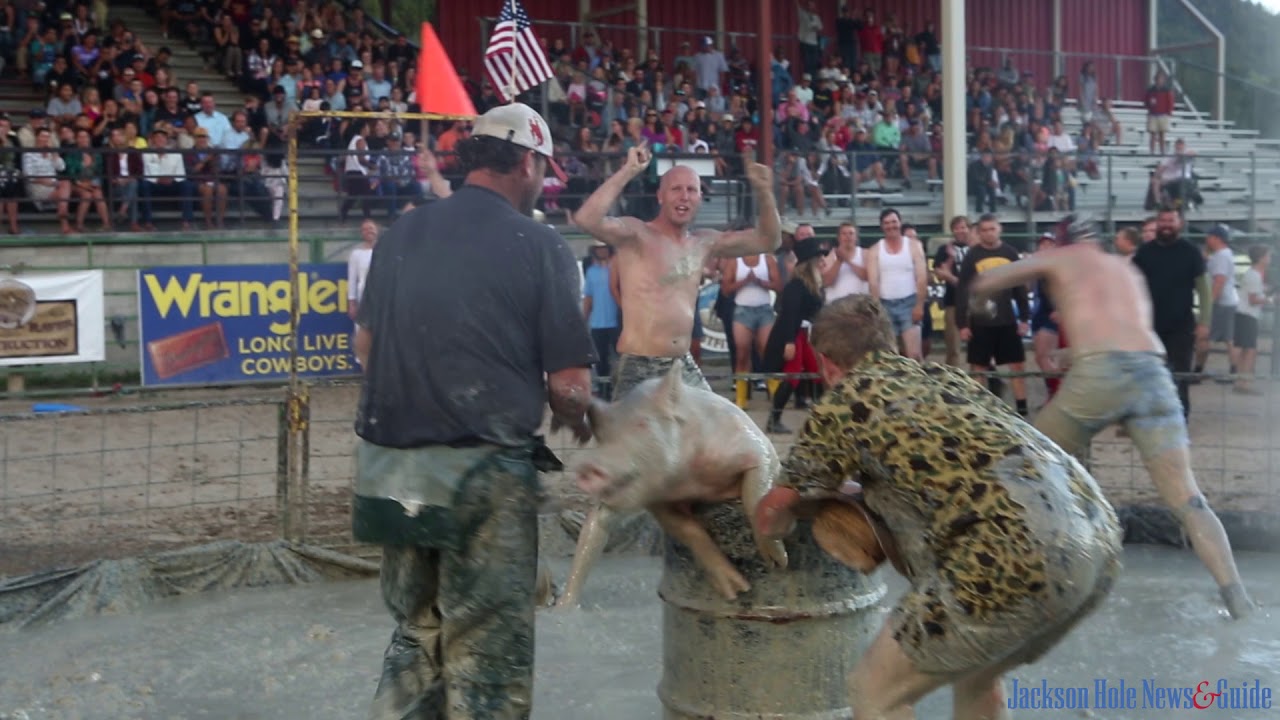 Pig wrestling at the 2017 Teton County Fair YouTube