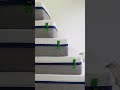 On sort un nouveau produit incroyable dans 2 jours 🚨 Il est caché quelque part dans ce visuel...