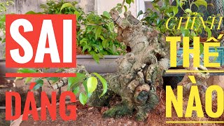 KTV113 SAI DÁNG, chỉnh thế nào P2 - Hogita.com