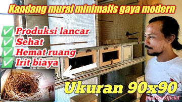 Penangkaran murai batu kandang minimalis gaya modern by Aseng