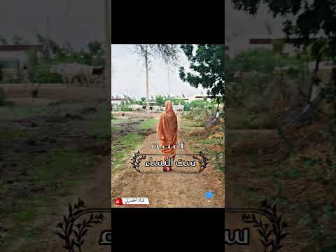 أغنية ست النساء