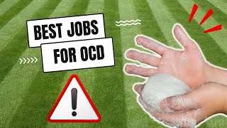 5 Ideal Jobs for Your OCD: Turn It Into Strength!