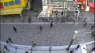 小型カメラ [SPK-DNR700CHP1] 昼間の動画