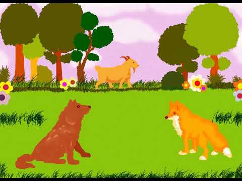 წუწკი მელა - Wuwki Mela