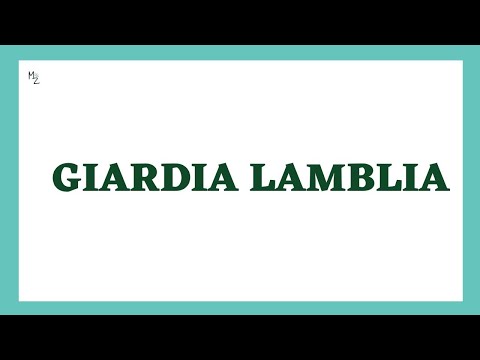 Giardia lamblia | Giardiasis | Giardia Lamblia Life Cycle | Diagnosis | Treatment | Med Zukhruf