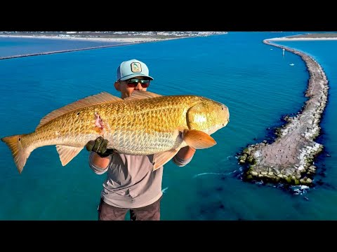 Springtime Jetty Fishing Is On FIRE Multi Species Day