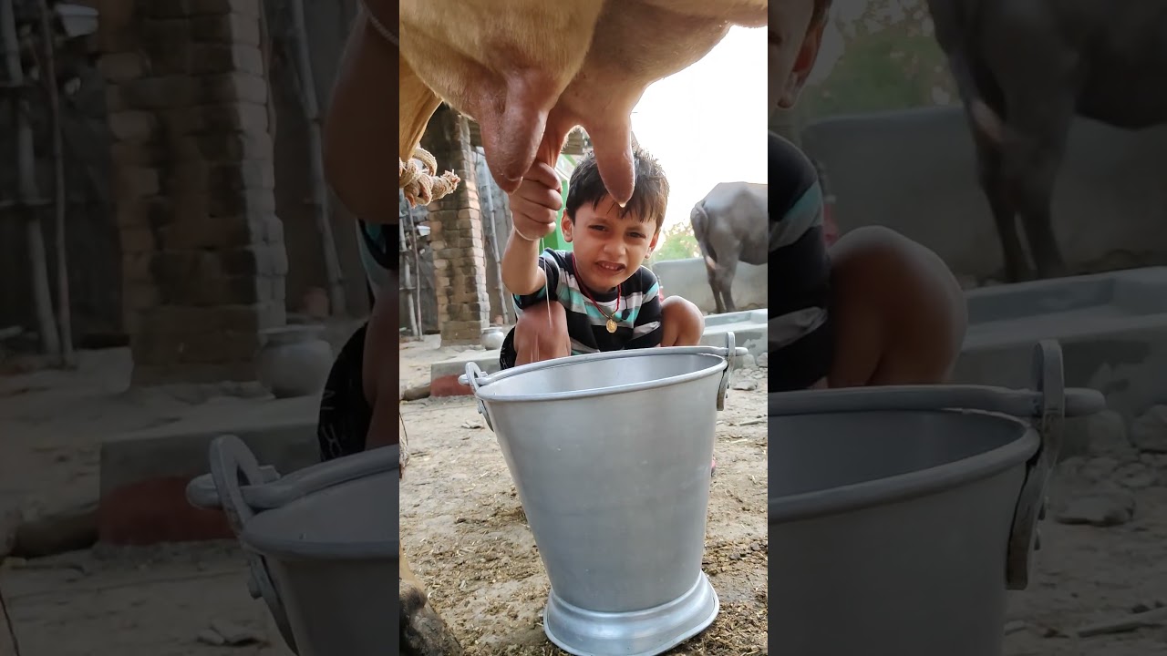 choti choti gaiya re durhfg 