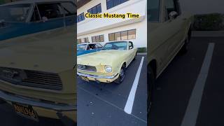 Ford Mustang at the Carshow 👆🏻 #carshorts #carshow #cars #videos #reels #vintage