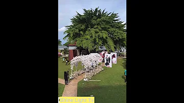 WHITE WEDDING SPACE FOR PRISCY JUMA JP2025 Wedding Nigerianwedding Entertainment Viralwedding 
