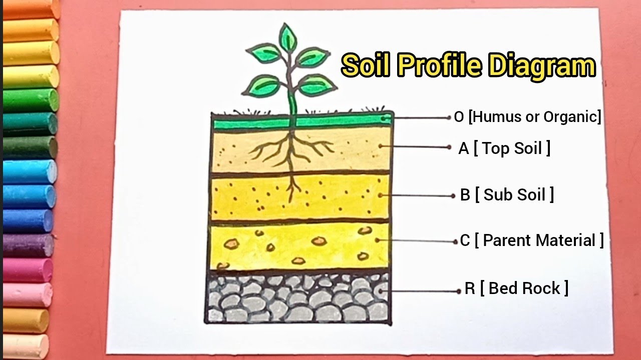how to draw soil profile diagram  YouTube
